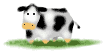 Moo���@�ɩ��H��